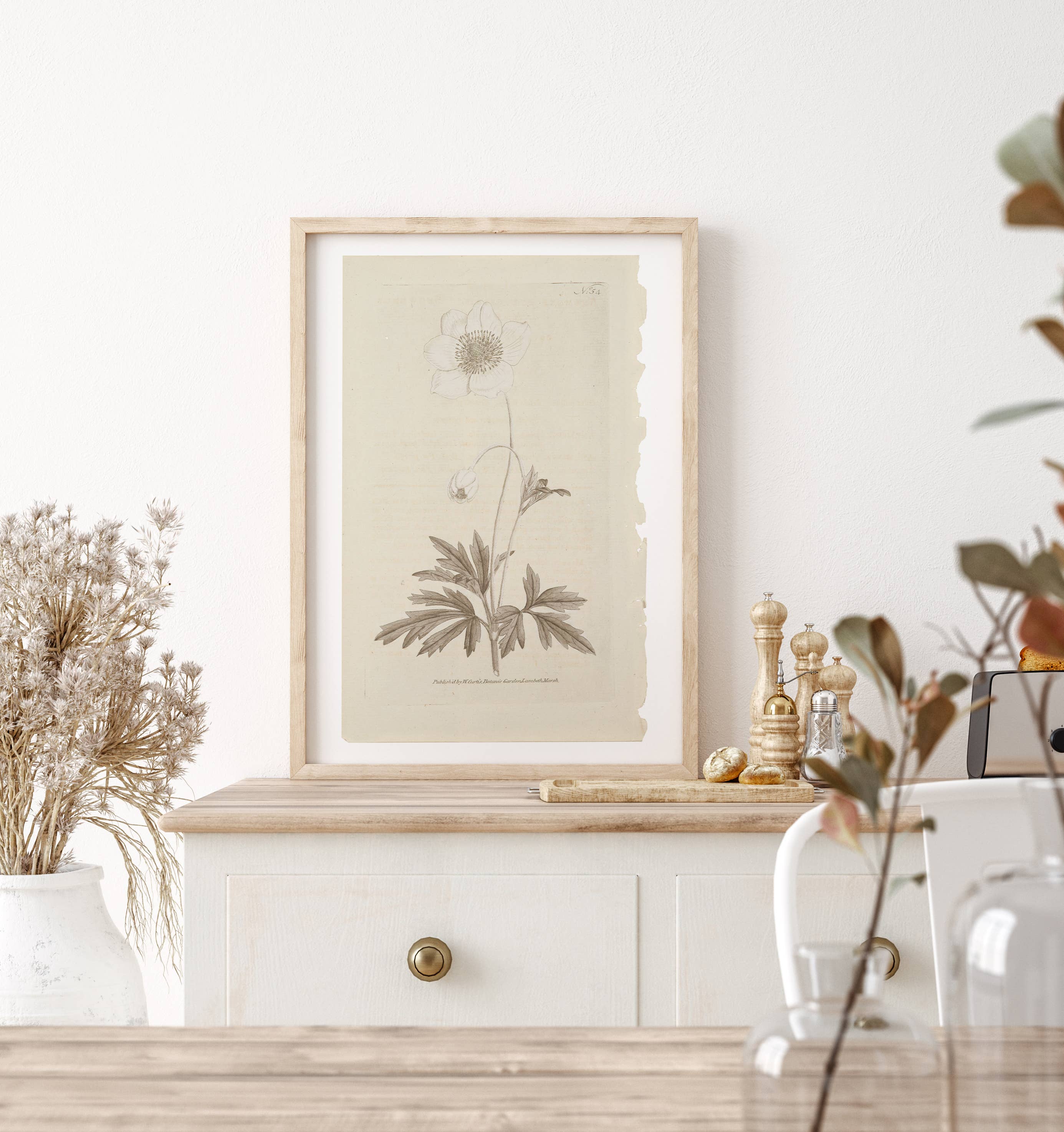 Wall Art Botanical Plant Prints, Set of 4, UNFRAMED, 2 Sizes: 8x10