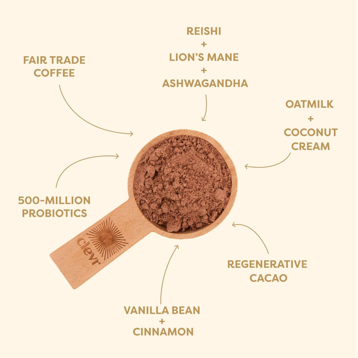 Mocha SuperLatte (14 Servings) | Instant Mocha Latte with Adaptogens, Mushrooms and Probiotics