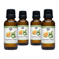 Cucumber Melon Phthalate-Free Fragrance Oil: - 1 oz Retail Glass Vials