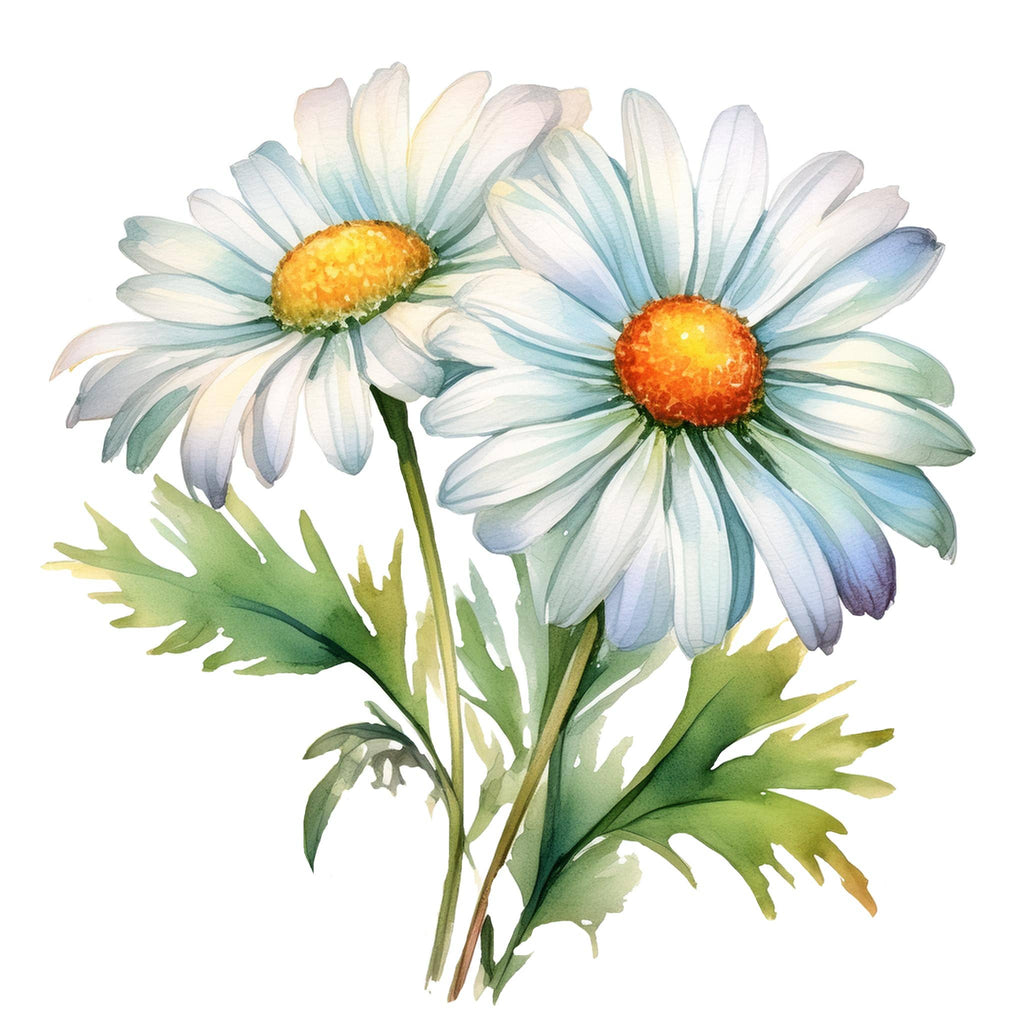 Chamomile Phthalate-Free Fragrance Oil: - 1 oz Retail Glass Vials