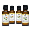 Chamomile Phthalate-Free Fragrance Oil: - 1 oz Retail Glass Vials