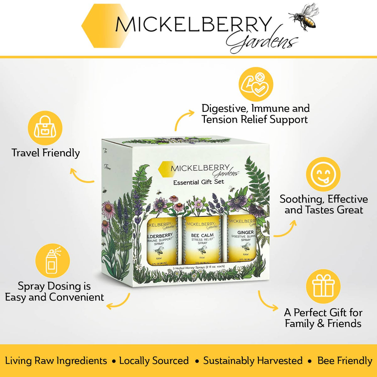 Essential Gift Set — all-day wellness for the whole family