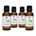 Eucalyptus Essential Oil: - 1 oz Retail Glass Vials