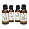 Jasmine Phthalate-Free Fragrance Oil: - 1 oz Retail Glass Vials