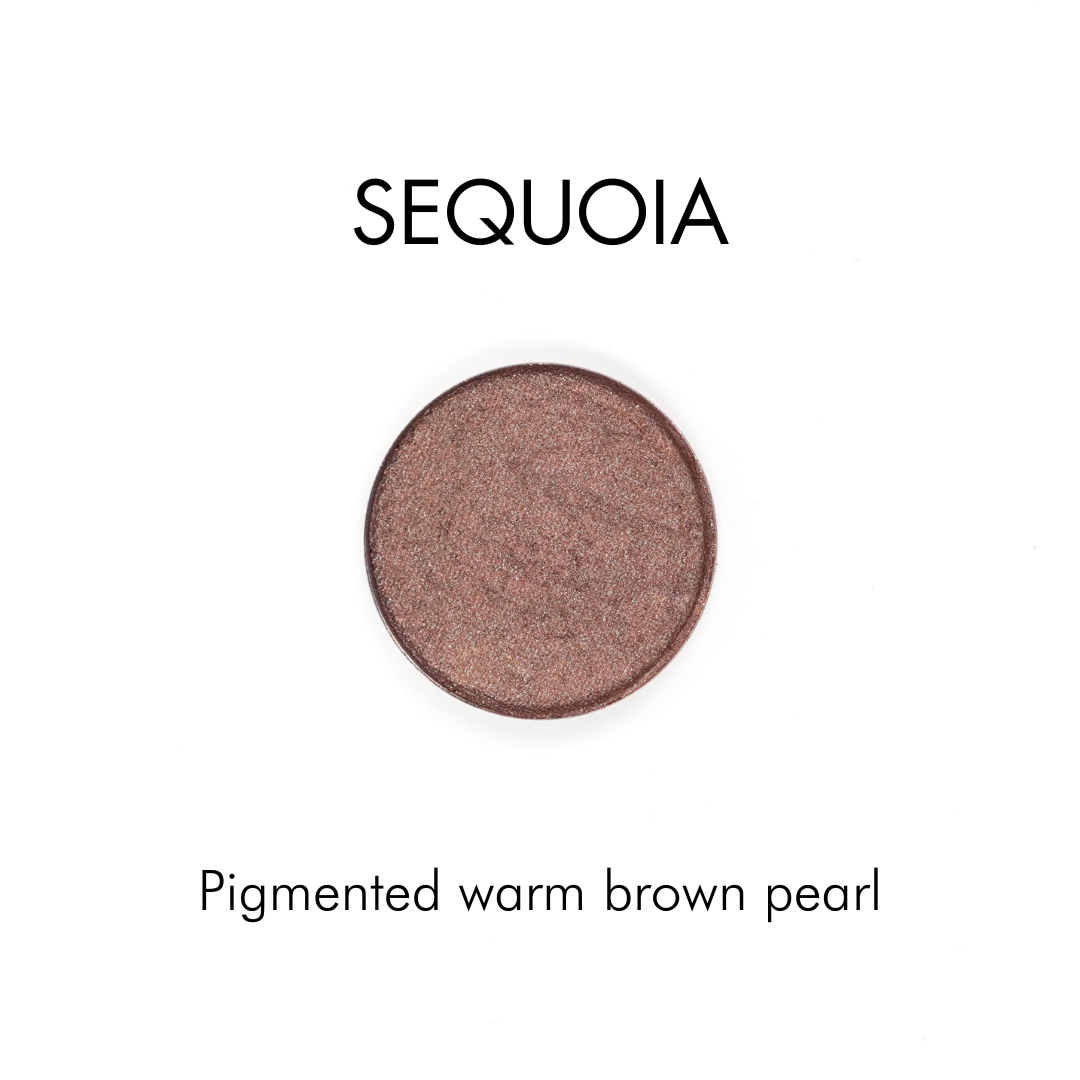 Pressed Mineral Eyeshadow | Refillable Zero Waste Makeup: Sequoia