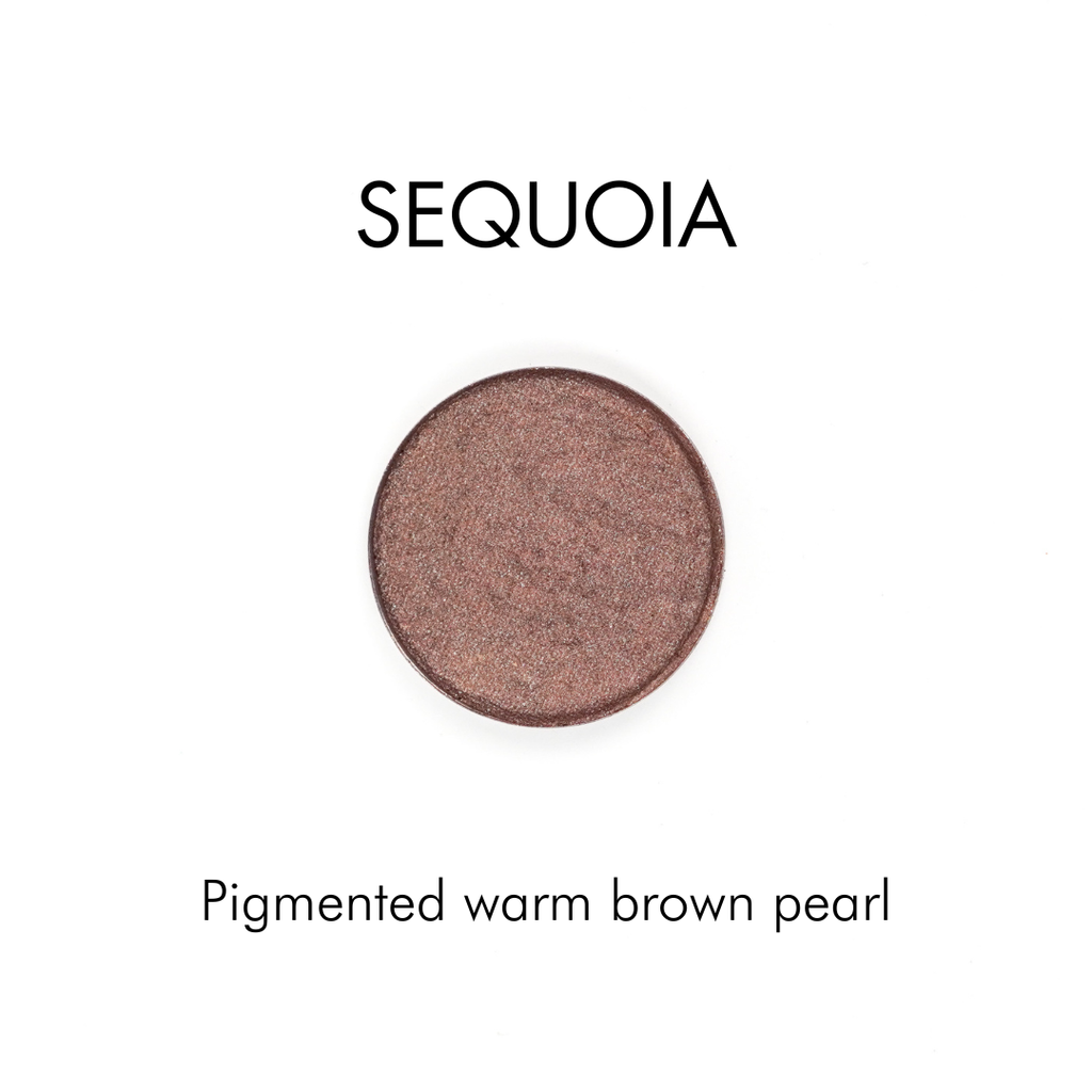 Pressed Mineral Eyeshadow | Refillable Zero Waste Makeup: Abalone