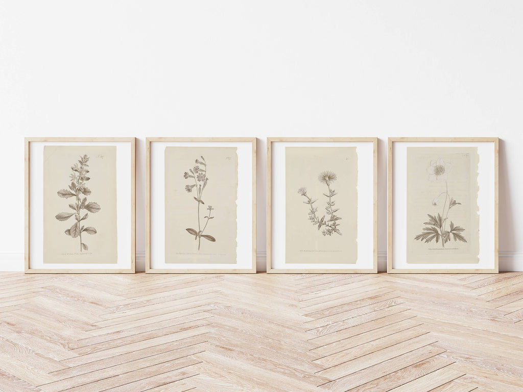 Wall Art Botanical Plant Prints, Set of 4, UNFRAMED, 2 Sizes: 8x10