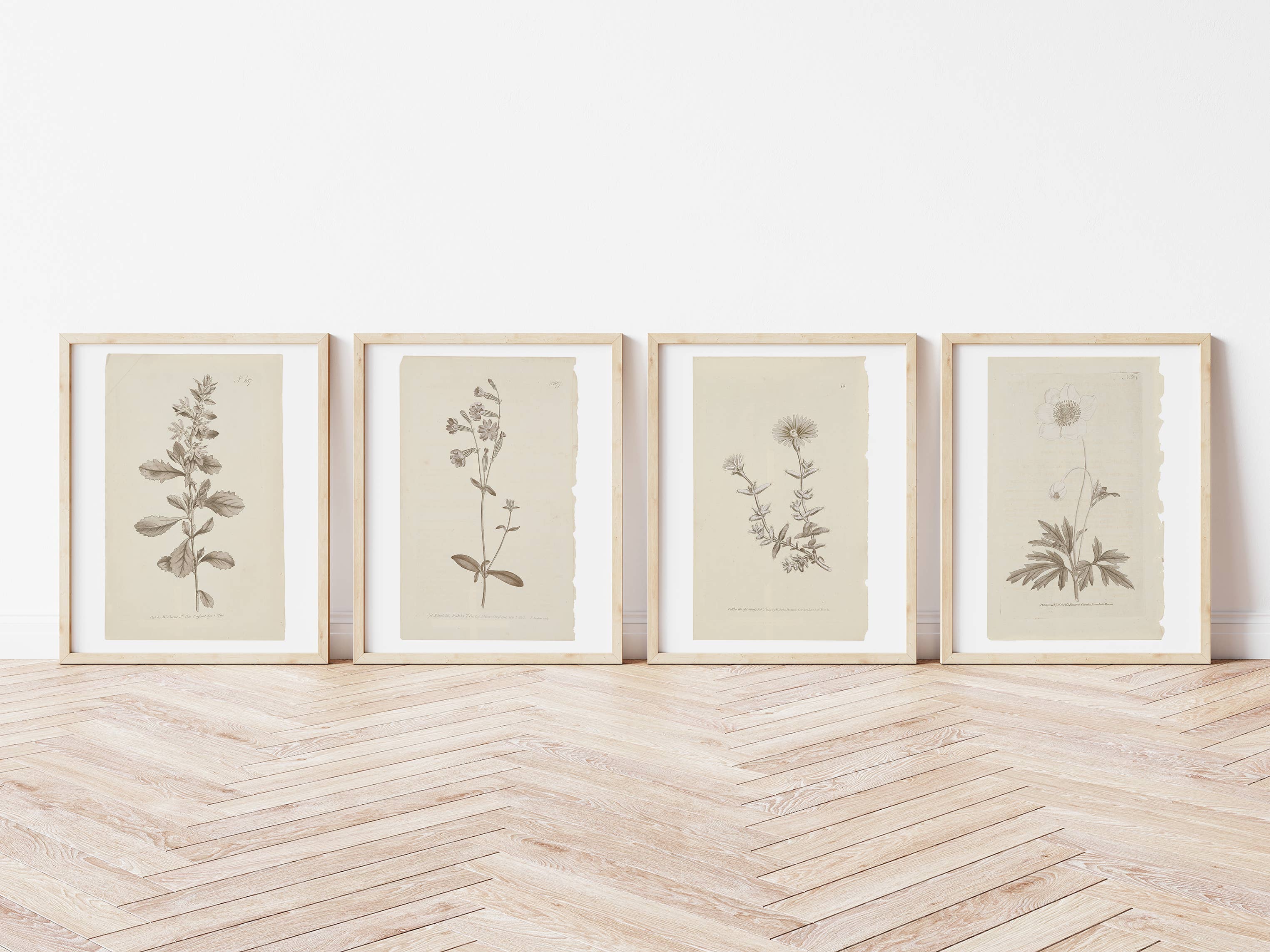 Wall Art Botanical Plant Prints, Set of 4, UNFRAMED, 2 Sizes: 8x10