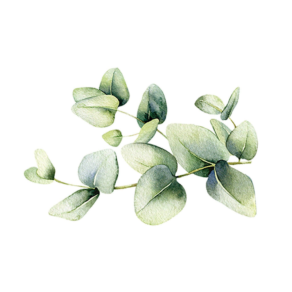 Eucalyptus Essential Oil: - 1 oz Retail Glass Vials