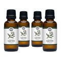 Cypress Essential Oil: - 1 oz Retail Glass Vials