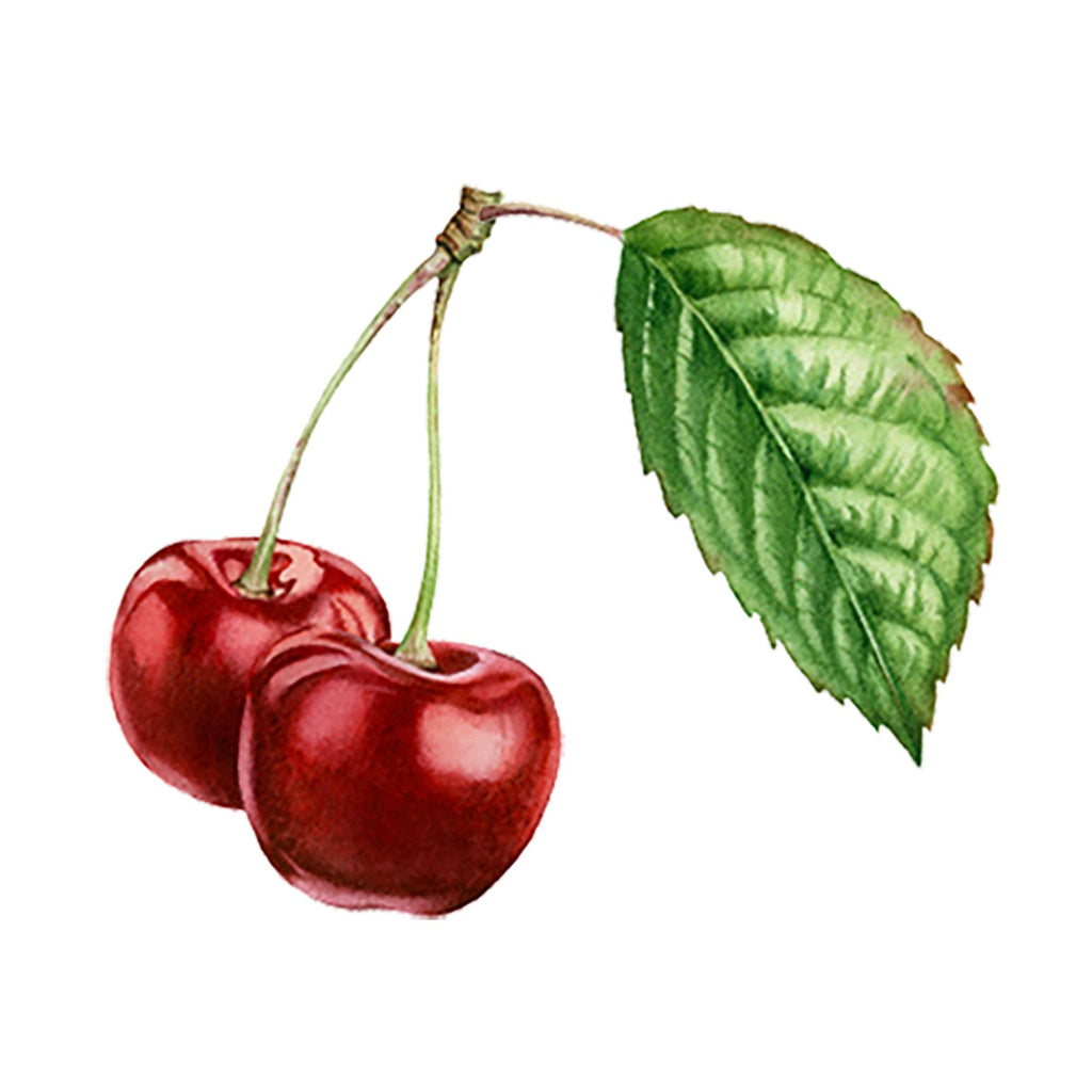 Cherry (Bitter Almond) Essential Oil Blend: - 1 oz Retail Glass Vials Price