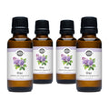Lilac Phthalate-Free Fragrance Oil: - 1 oz Retail Glass Vials