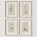Wall Art Botanical Plant Prints, Set of 4, UNFRAMED, 2 Sizes: 8x10