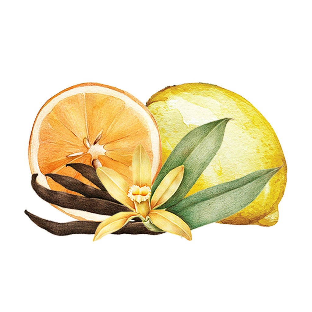Citrus & Vanilla Essential Oil / Fragrance Oil Blend: - 1 oz Retail Glass Vials