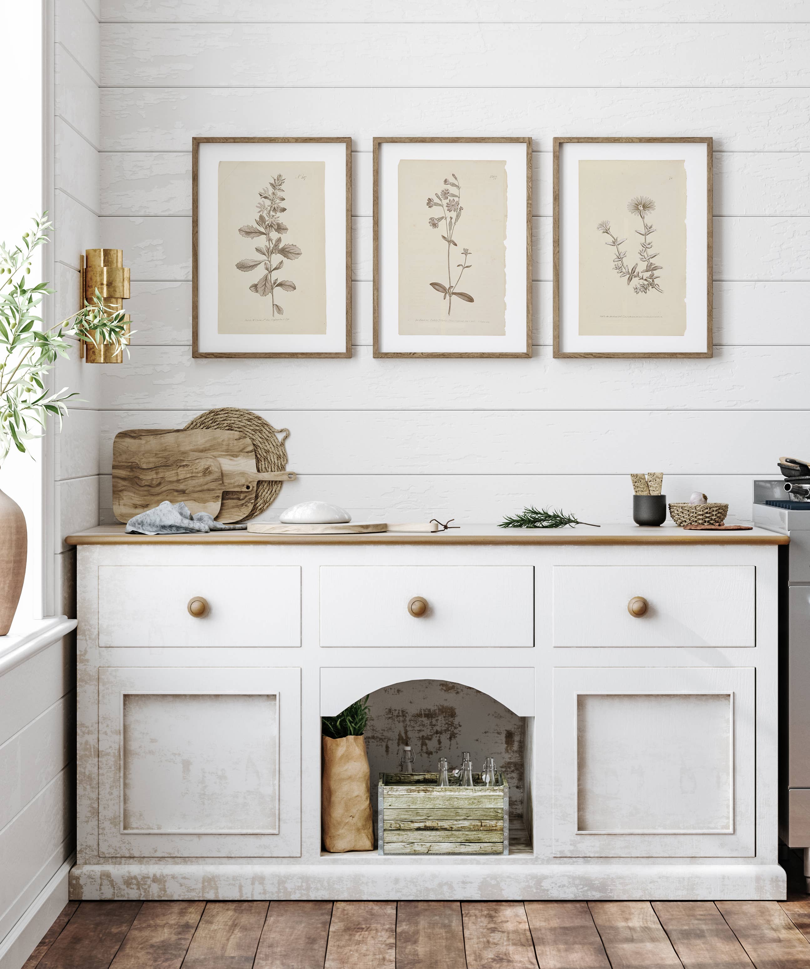 Wall Art Botanical Plant Prints, Set of 4, UNFRAMED, 2 Sizes: 8x10