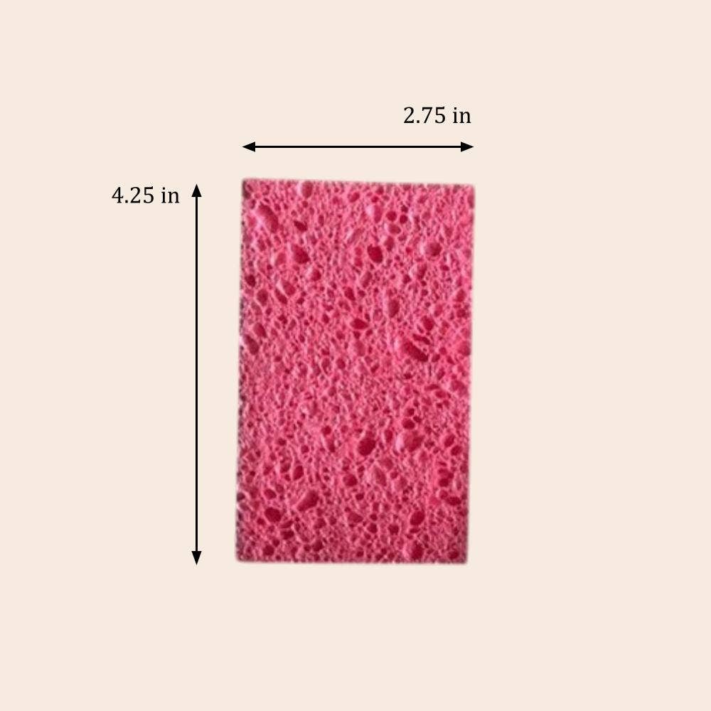 Compostable Cellulose Kitchen Sponge | Earth Day Bestseller: White