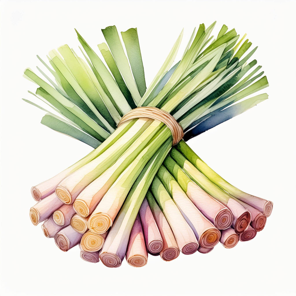 Lemongrass Essential Oil: - 1 oz Retail Glass Vials