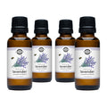 Lavender 40/42 Essential Oil: - 1 oz Retail Glass Vials