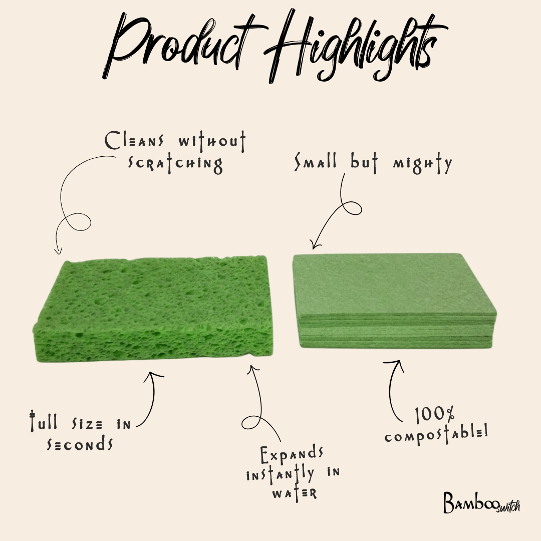 Compostable Cellulose Kitchen Sponge | Earth Day Bestseller: White