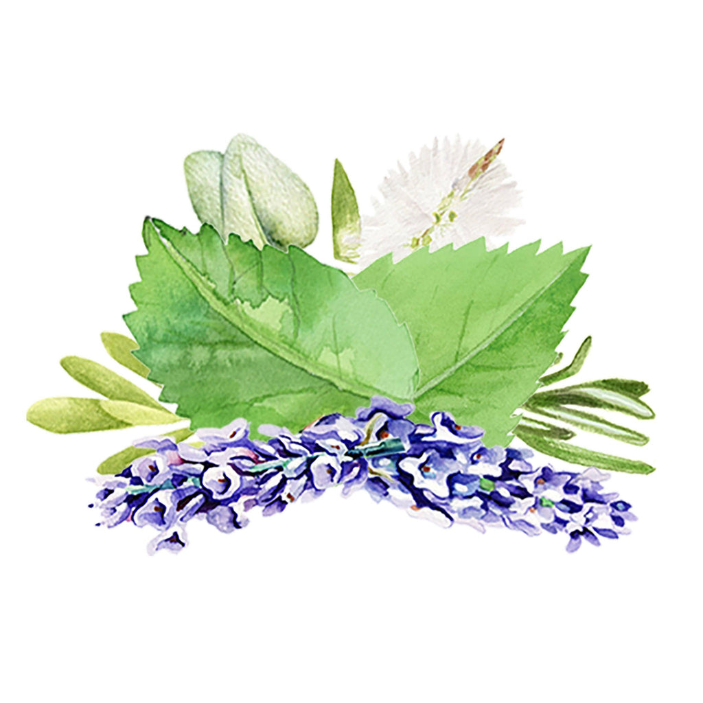 Aromatherapy Essential Oil Blend: - 1 oz Retail Glass Vials