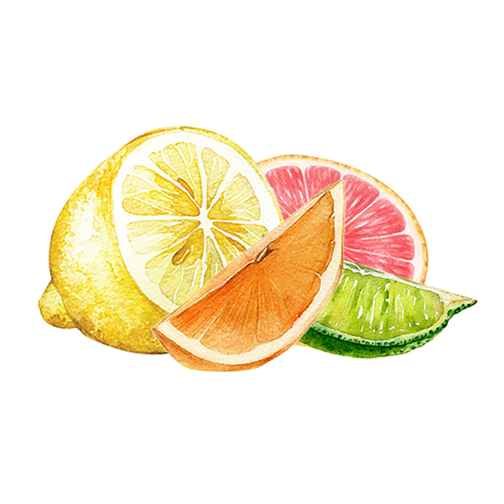 Lemon, Lime, Orange & Grapefruit Essential Oil Blend: - 1 oz Retail Glass Vials