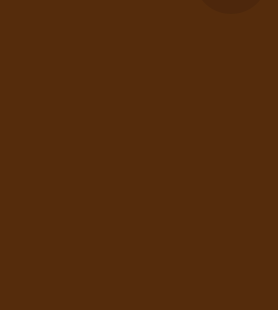 The Eyeliner | Natural Refillable Liquid Eyeliner: Shimmer Brown