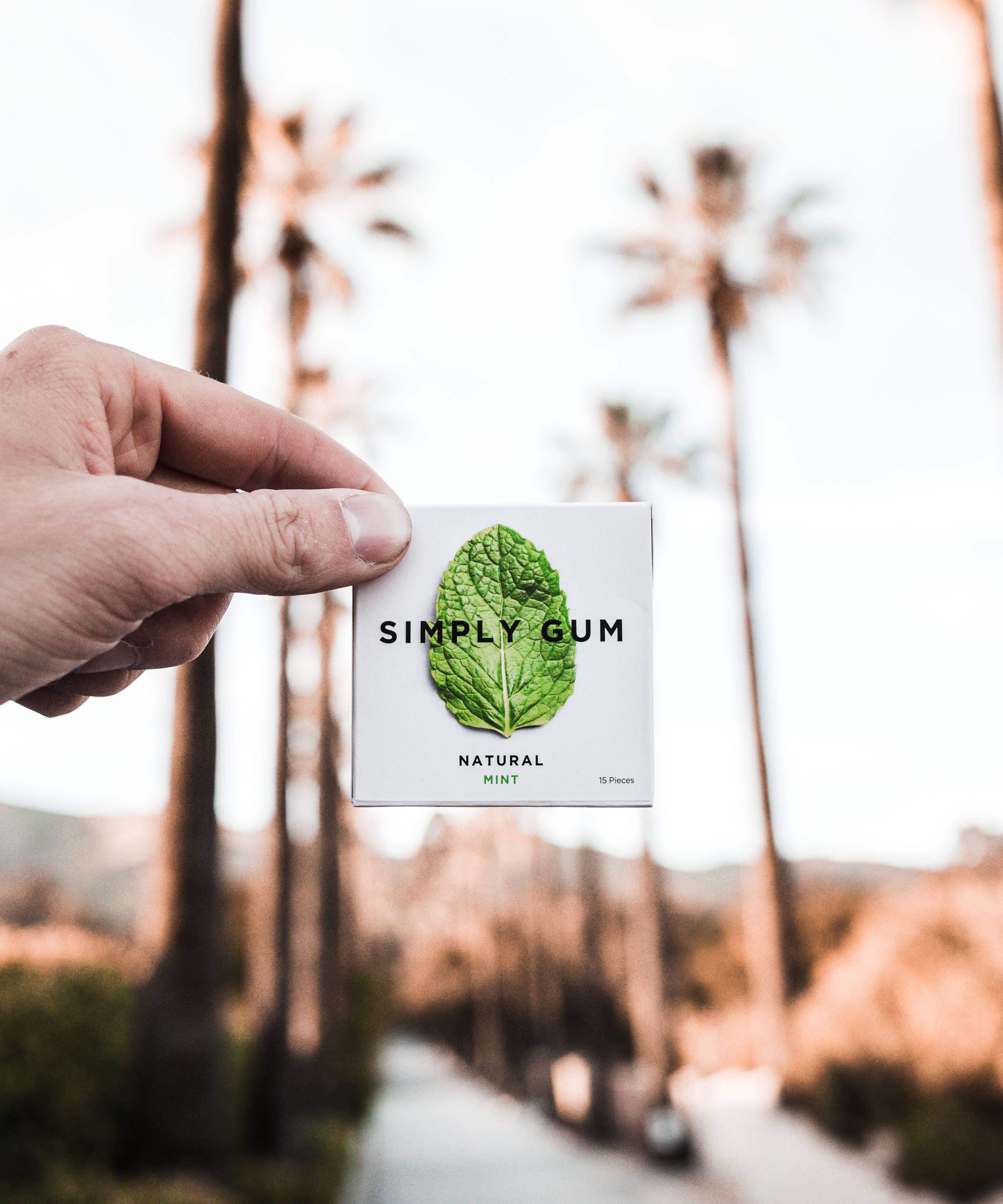 Peppermint Chewing Gum - Natural + Plastic-Free | 12 Pack