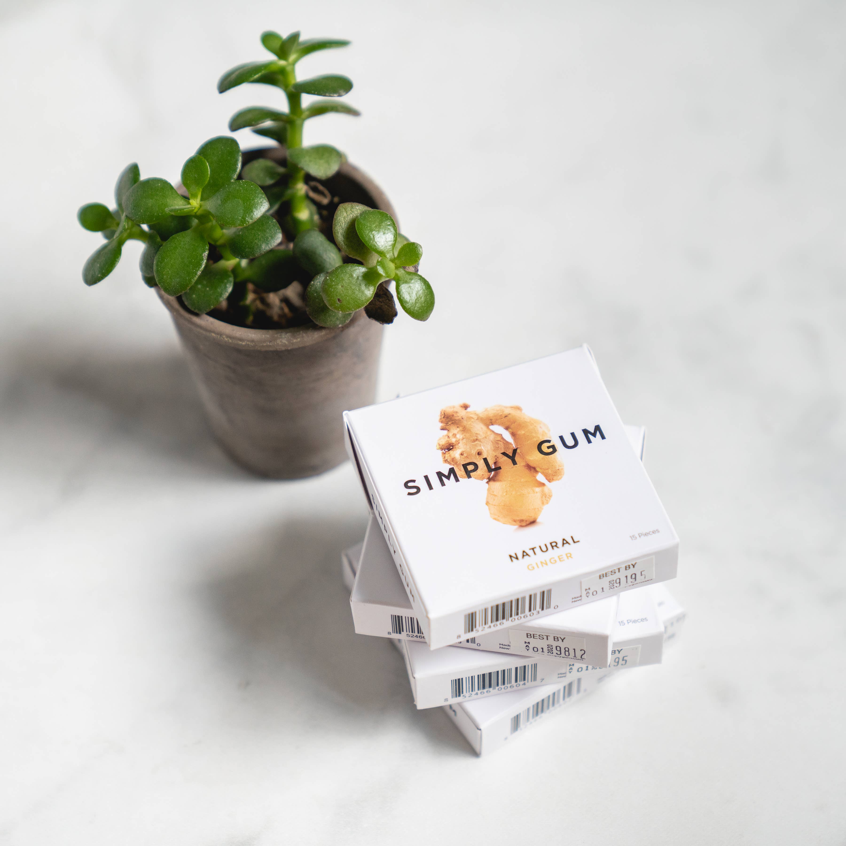 Ginger Chewing Gum - Natural + Plastic-Free | 12 Pack