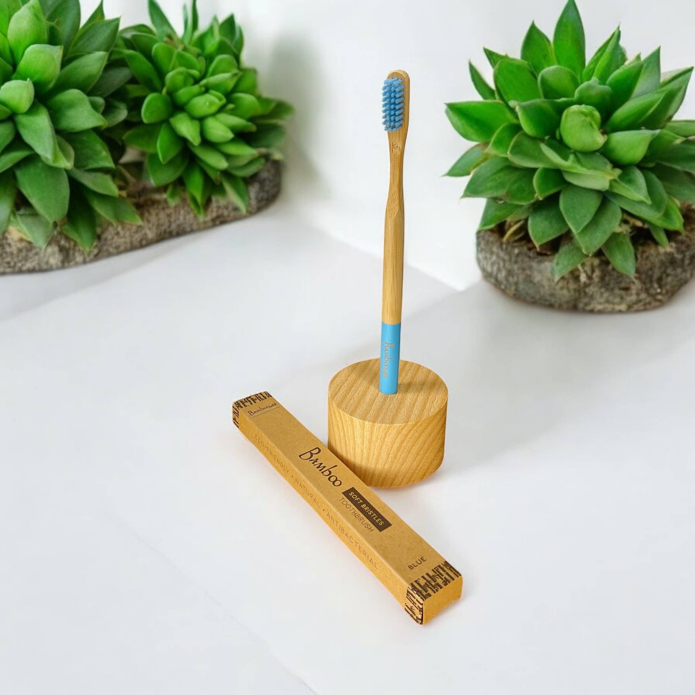 Adult Bamboo Toothbrush | Earth Day Bestseller: White
